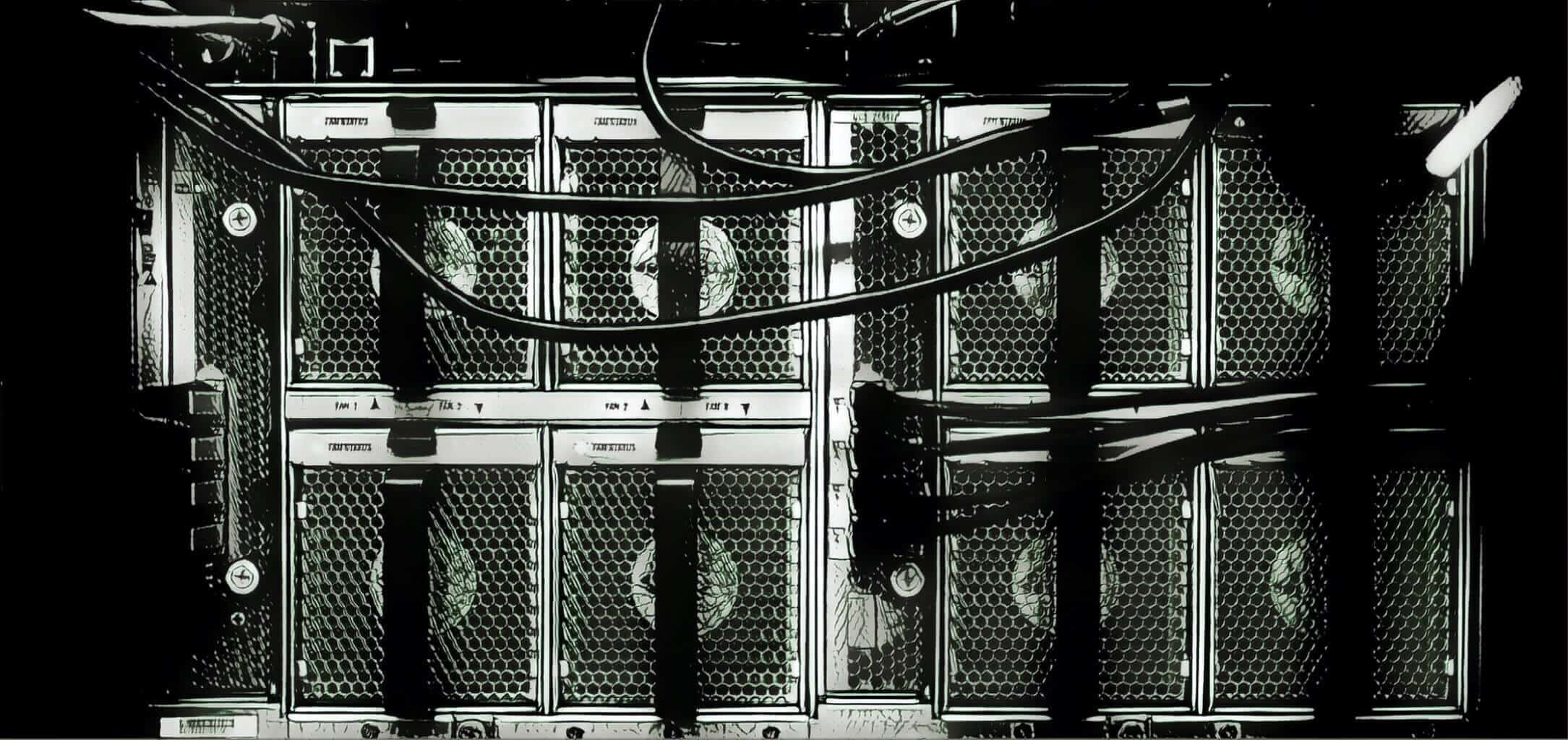 B2B Link Building Case Study