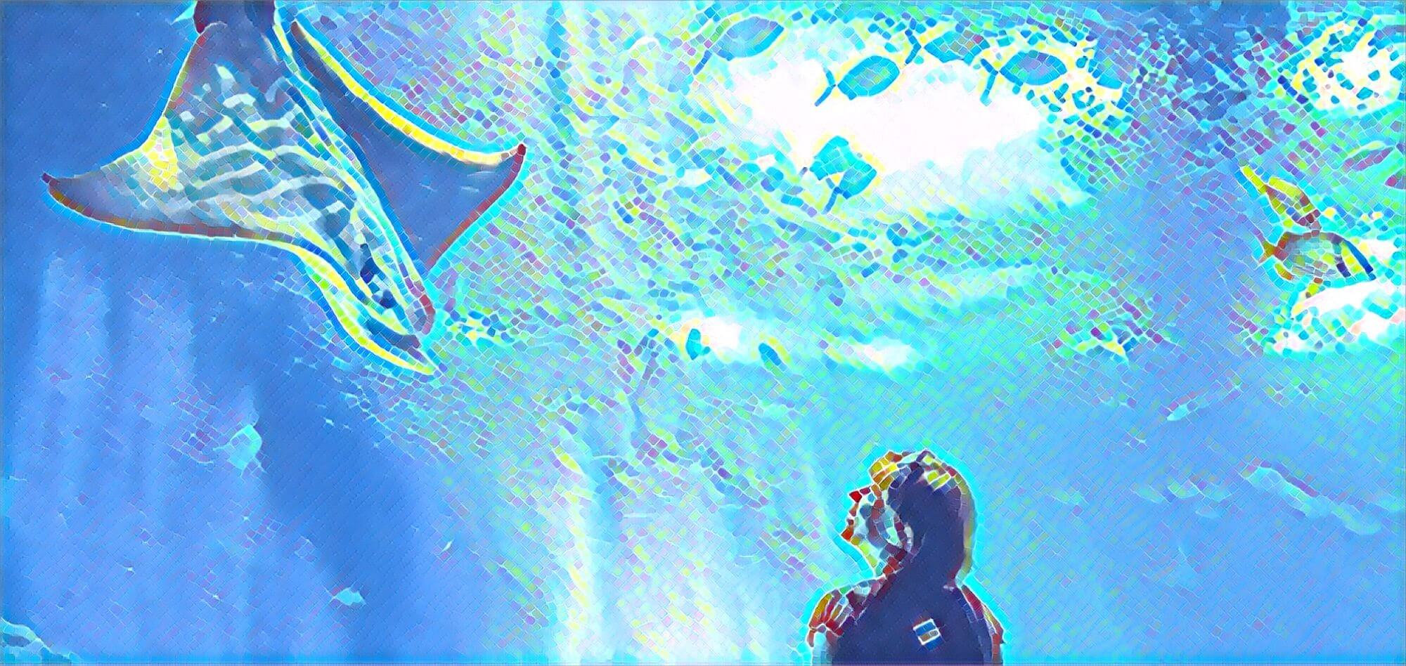 Finding a Niche Topic to Blog About