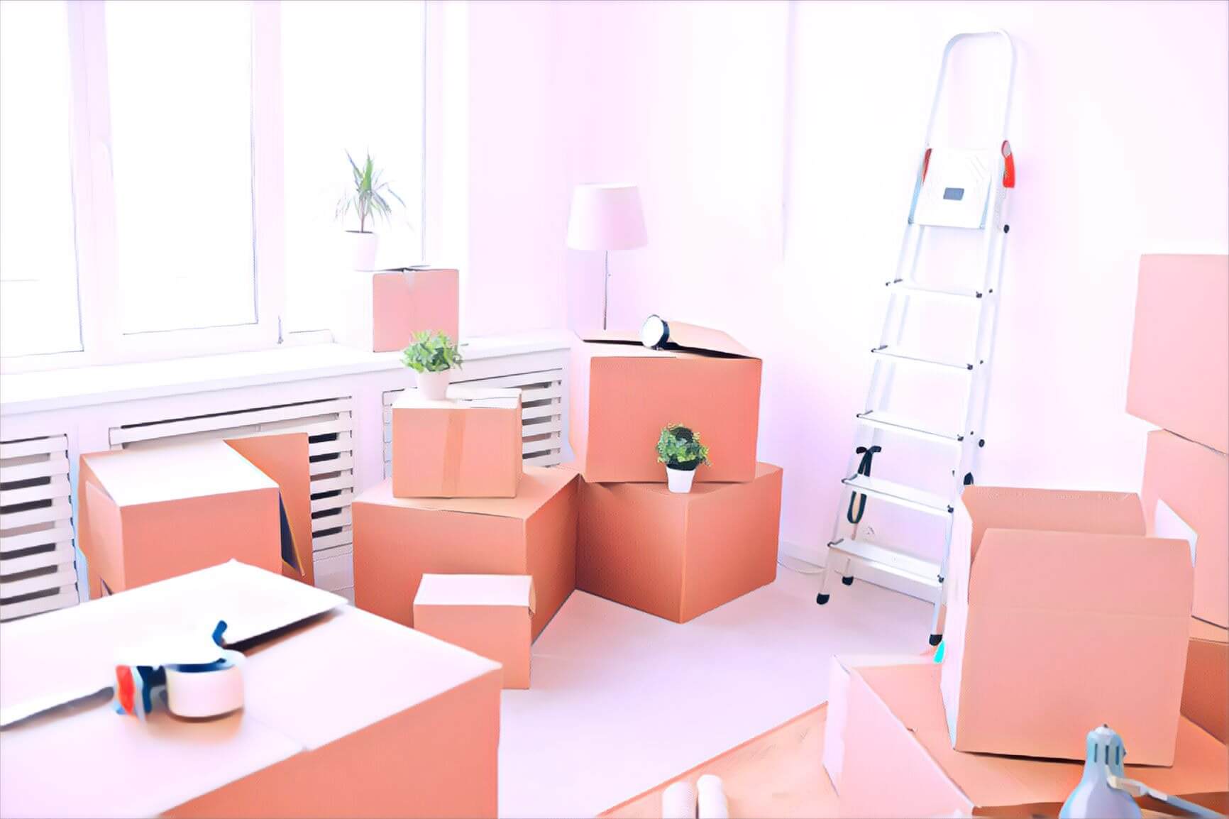 Website domain migration process